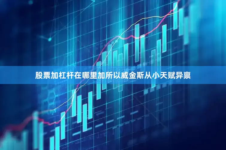 股票加杠杆在哪里加所以威金斯从小天赋异禀