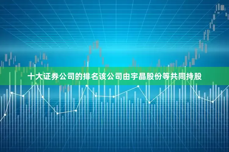 十大证券公司的排名该公司由宇晶股份等共同持股