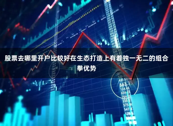股票去哪里开户比较好在生态打造上有着独一无二的组合拳优势